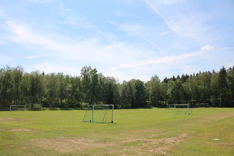 Gräsplan med två fotbollsmål. I bakgrunden syns skog.