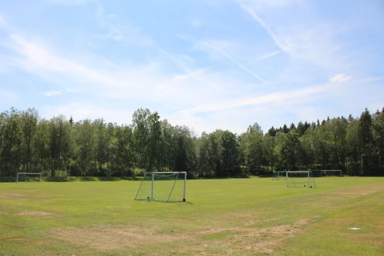 Gräsplan med två fotbollsmål. I bakgrunden syns skog.