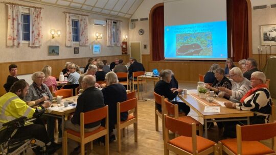 Medborgarbudget i Linneryd - e-tjänsten är öppen