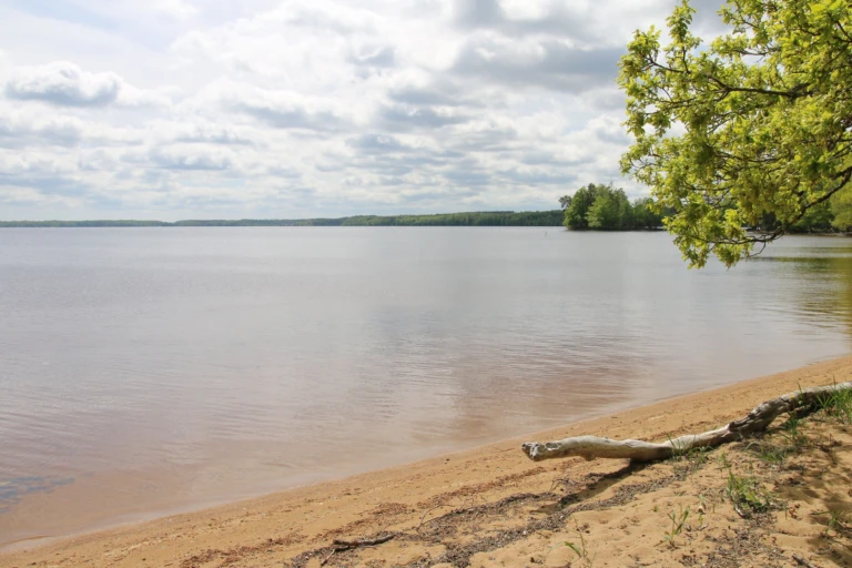 Bild på sandstranden på Laxasand badplats.