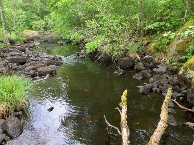 Bräkneån idag strax ovanför Hållsdammen.