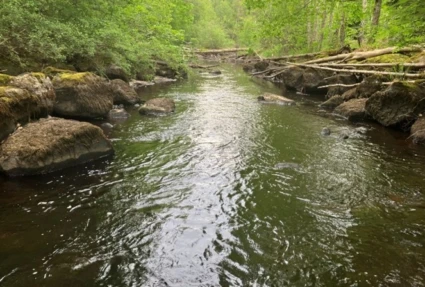 Tidigare rensad sten återförs till den befintliga åfåran.
