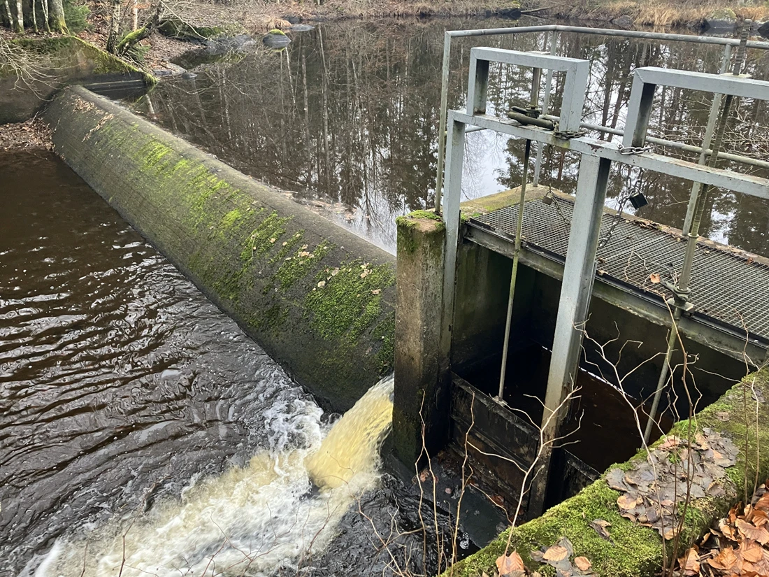 Befintligt dämme vid Tikens utlopp.