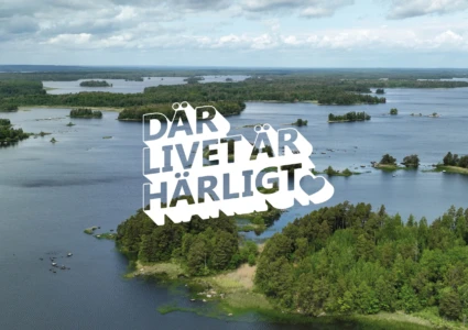>Åsnen