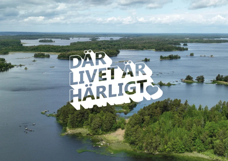 >Åsnen