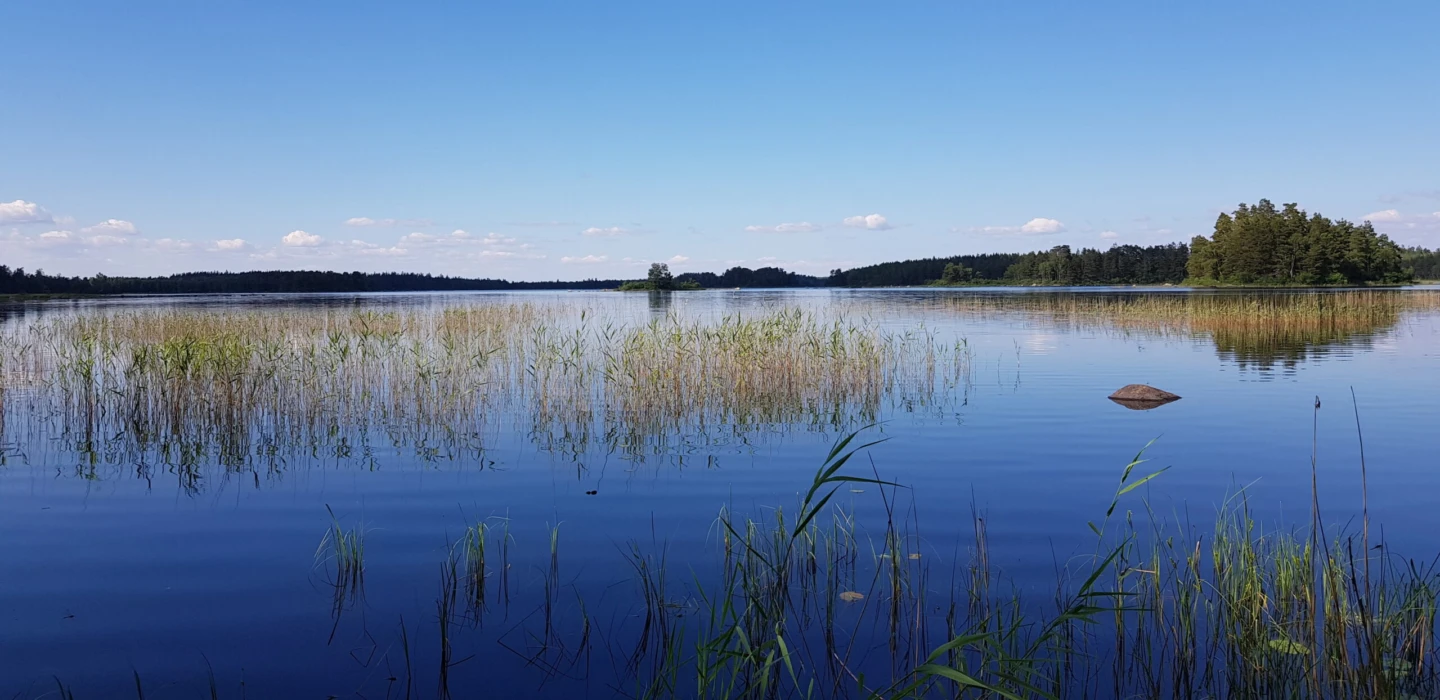 Lugn sjö med klart blått vatten där vass sträcker sig upp ur vattnet i förgrunden. I bakgrunden syns skogsklädda stränder och små öar under en klar himmel med några spridda moln.