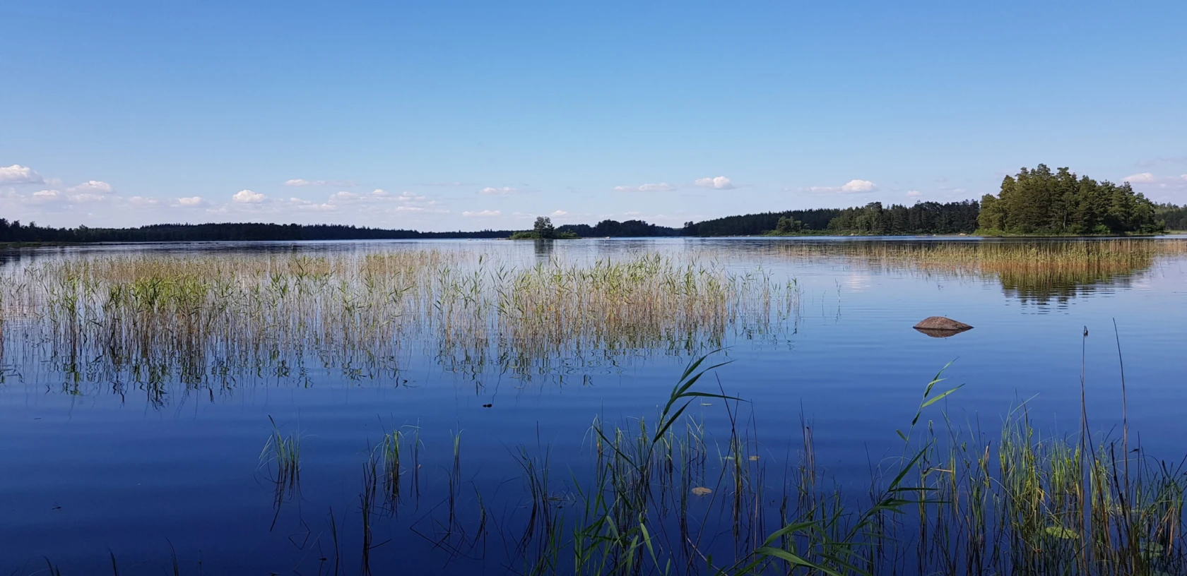 Lugn sjö med klart blått vatten där vass sträcker sig upp ur vattnet i förgrunden. I bakgrunden syns skogsklädda stränder och små öar under en klar himmel med några spridda moln.