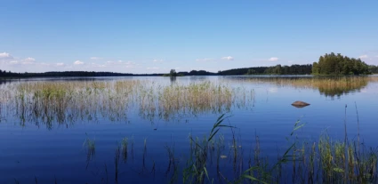 Lugn sjö med klart blått vatten där vass sträcker sig upp ur vattnet i förgrunden. I bakgrunden syns skogsklädda stränder och små öar under en klar himmel med några spridda moln.