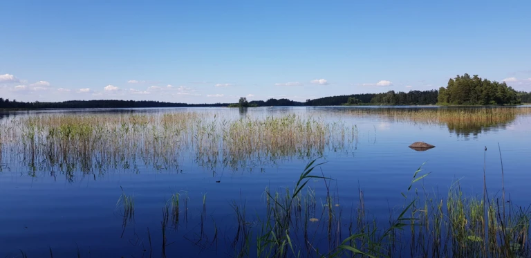 Lugn sjö med klart blått vatten där vass sträcker sig upp ur vattnet i förgrunden. I bakgrunden syns skogsklädda stränder och små öar under en klar himmel med några spridda moln.