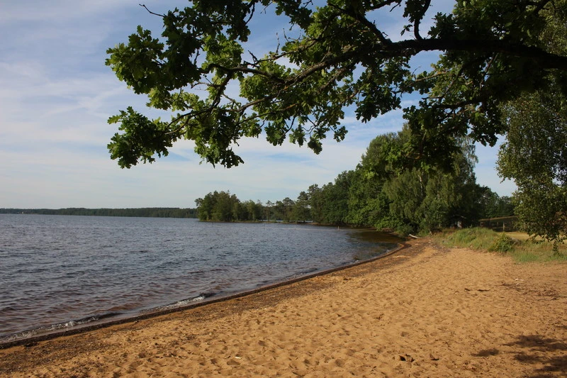 Sandstrand vid sjö.